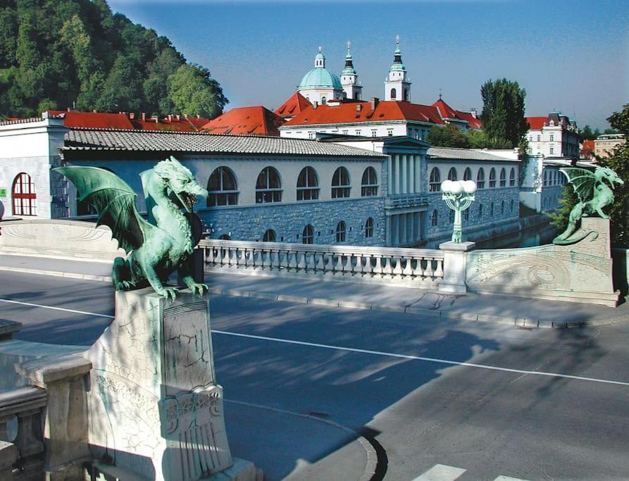 Dragon Bridge -spacious Central District - Perfect For Families And Couples Appartamento *